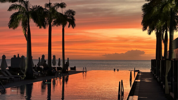 A pink-orange sunset behind a long swimming pool surrounded by palm trees with the ocean in the distance.